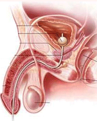 馬鞍山康豪男科醫院